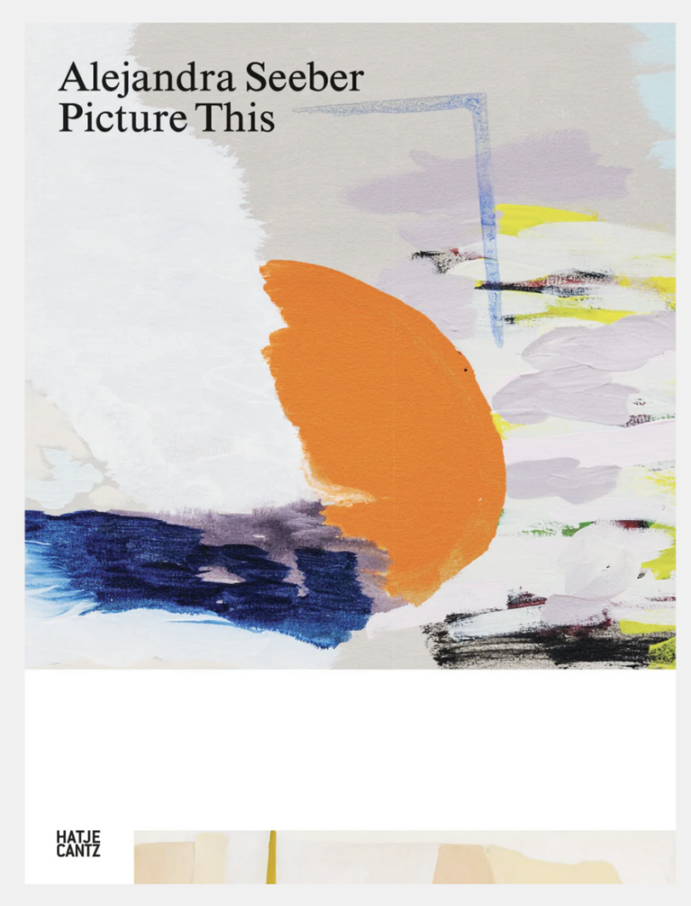 Picture This- Alejandra Seeber _ edited by Hatje Cantz